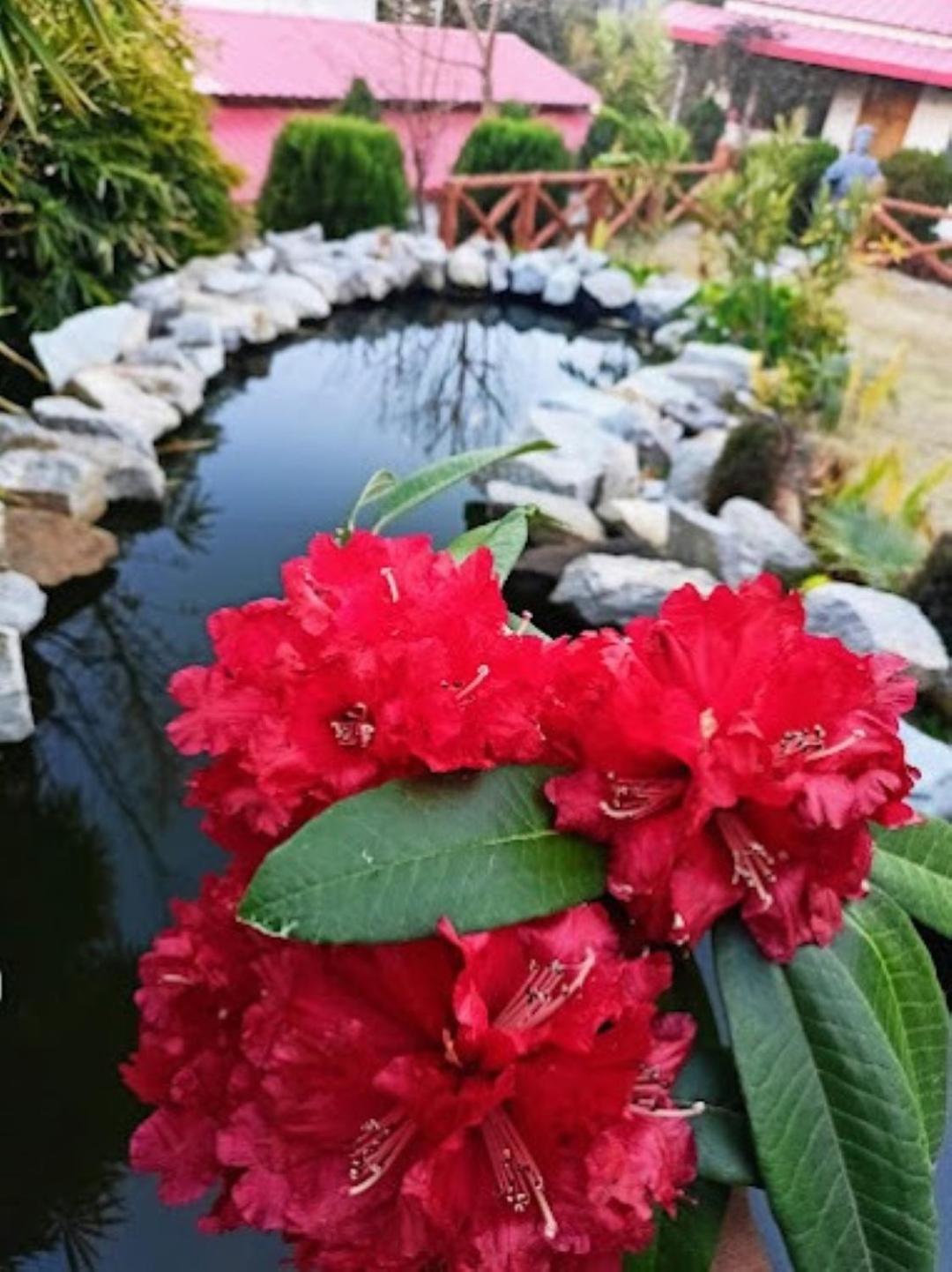 The Village Retreat Resort , Guptkashi Gupta Kashi Bagian luar foto